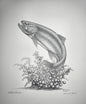 Leaping Rainbow Print 14"x11" - Artist Proof