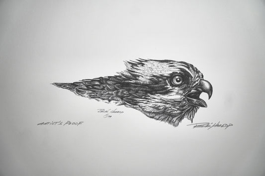 Osprey Print 8-1/2"x11" - Artist Proof
