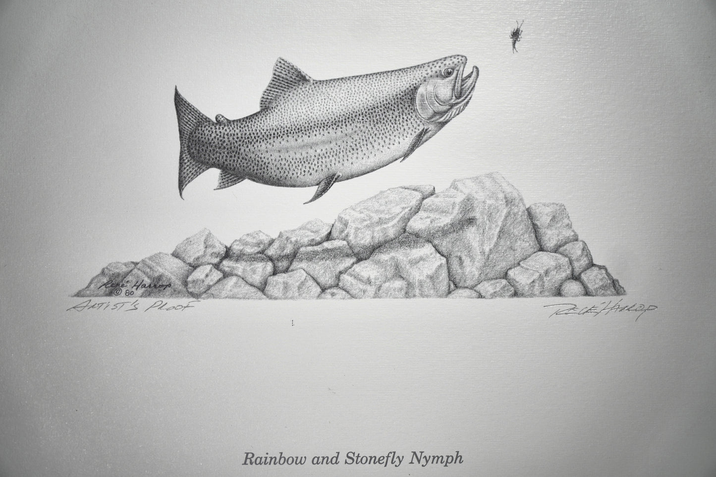 Rainbow & Stonefly Nymph Print 8"x10" - Artist Proof