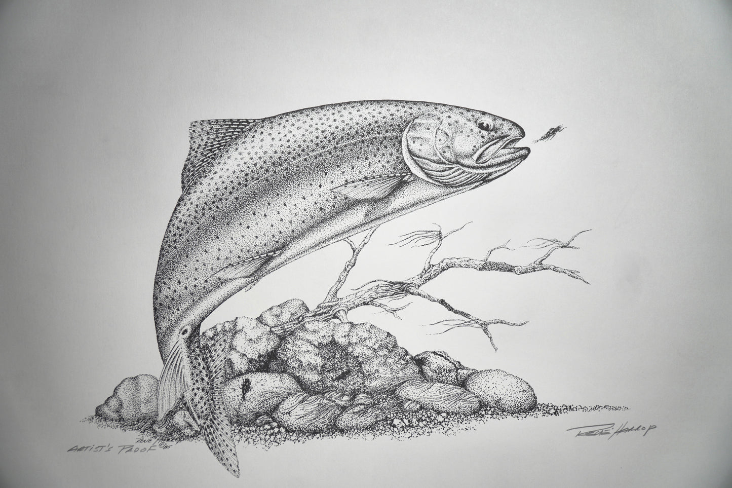 Spring Creek Emergence Print 12"x16" - Artist Proof