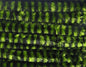 Variegated Chenille